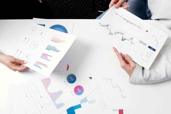 Portfolio Building